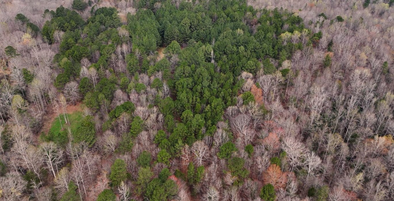 14 AFM West Fork 85 Photo 30