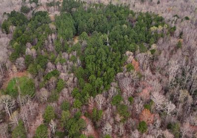 14 AFM West Fork 85 Photo 30