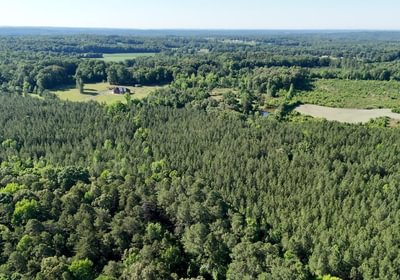 150 AFM Vineyard Road Tract A Photo 5