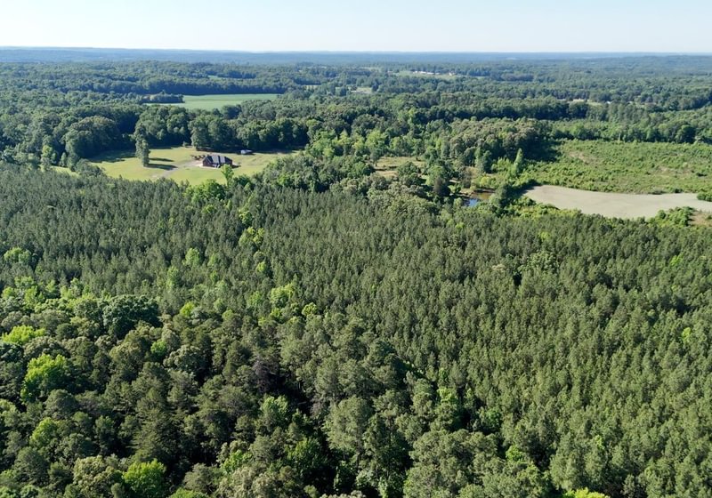 150 AFM Vineyard Road Tract A Photo 5