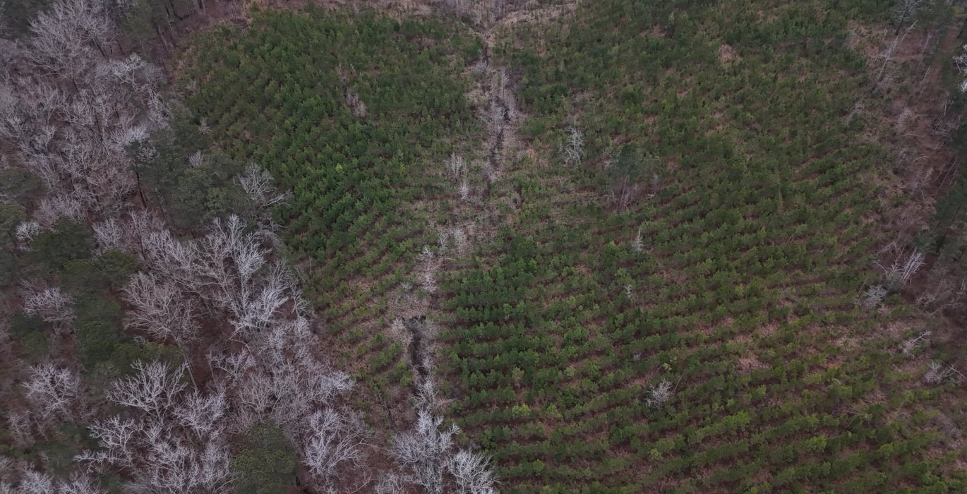 150 DJI 20260205154440 0015 D