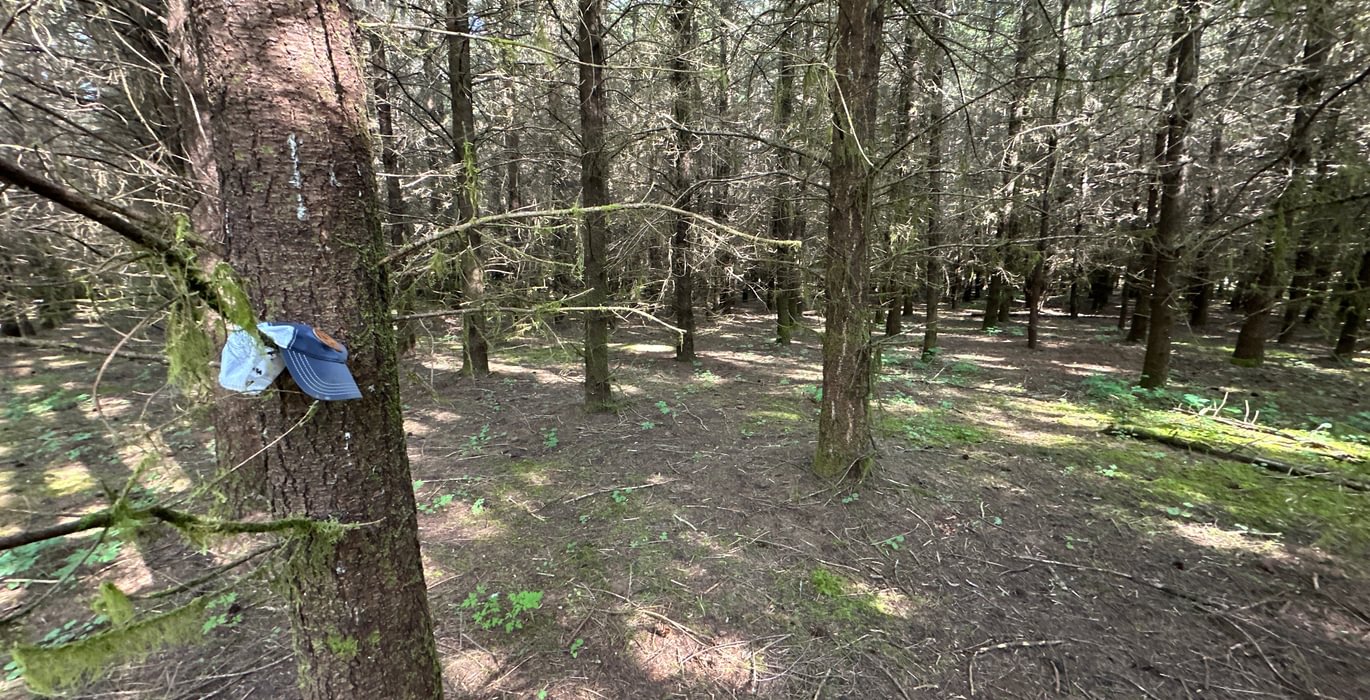 150 IMG 0700