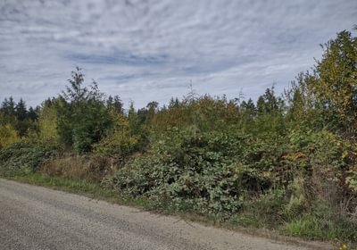 150 IMG 20240923 134857069 HDR