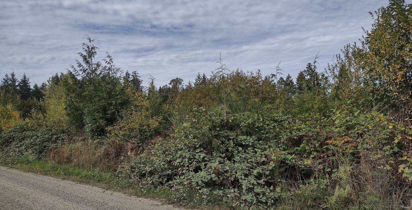 150 IMG 20240923 134857069 HDR