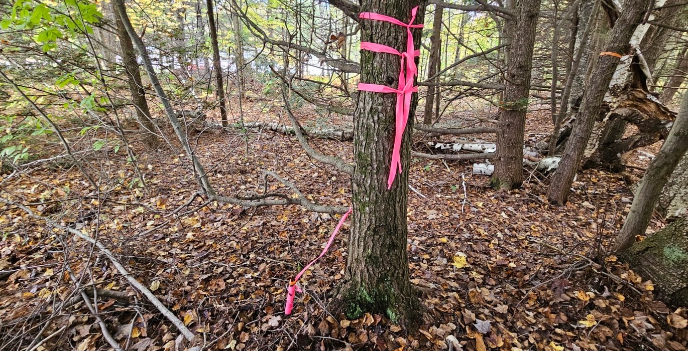 150 Iron Pipe NW corner along Route 2