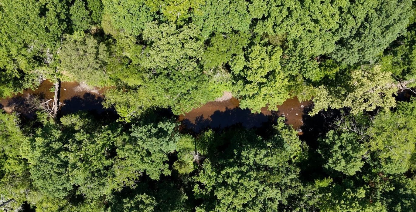 151 AFM Big Mountain Creek Photo 14