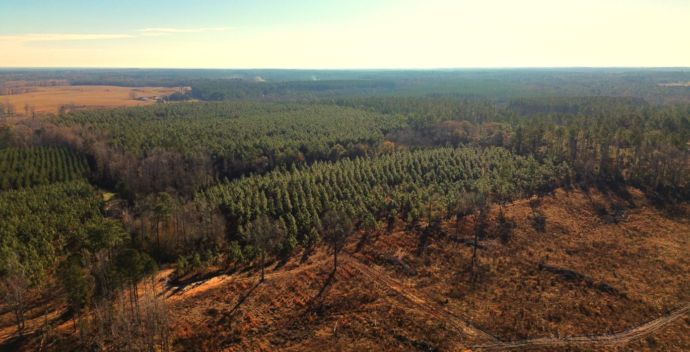 153 Gibson Aerial 14