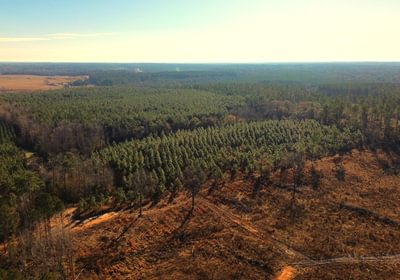 153 Gibson Aerial 14