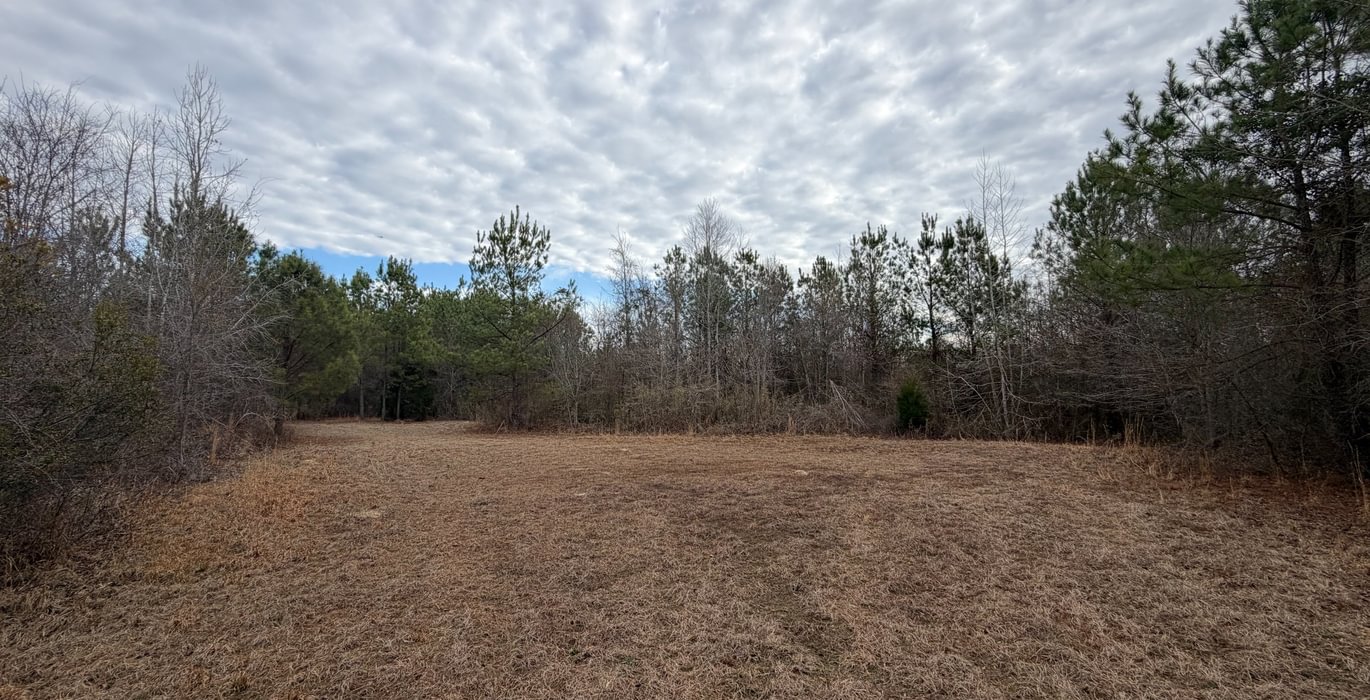 153 IMG 1133 2