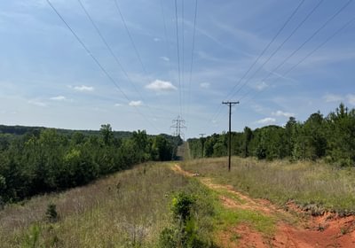 153 IMG 7581