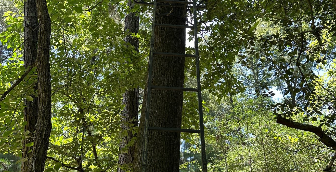 153 IMG 7964