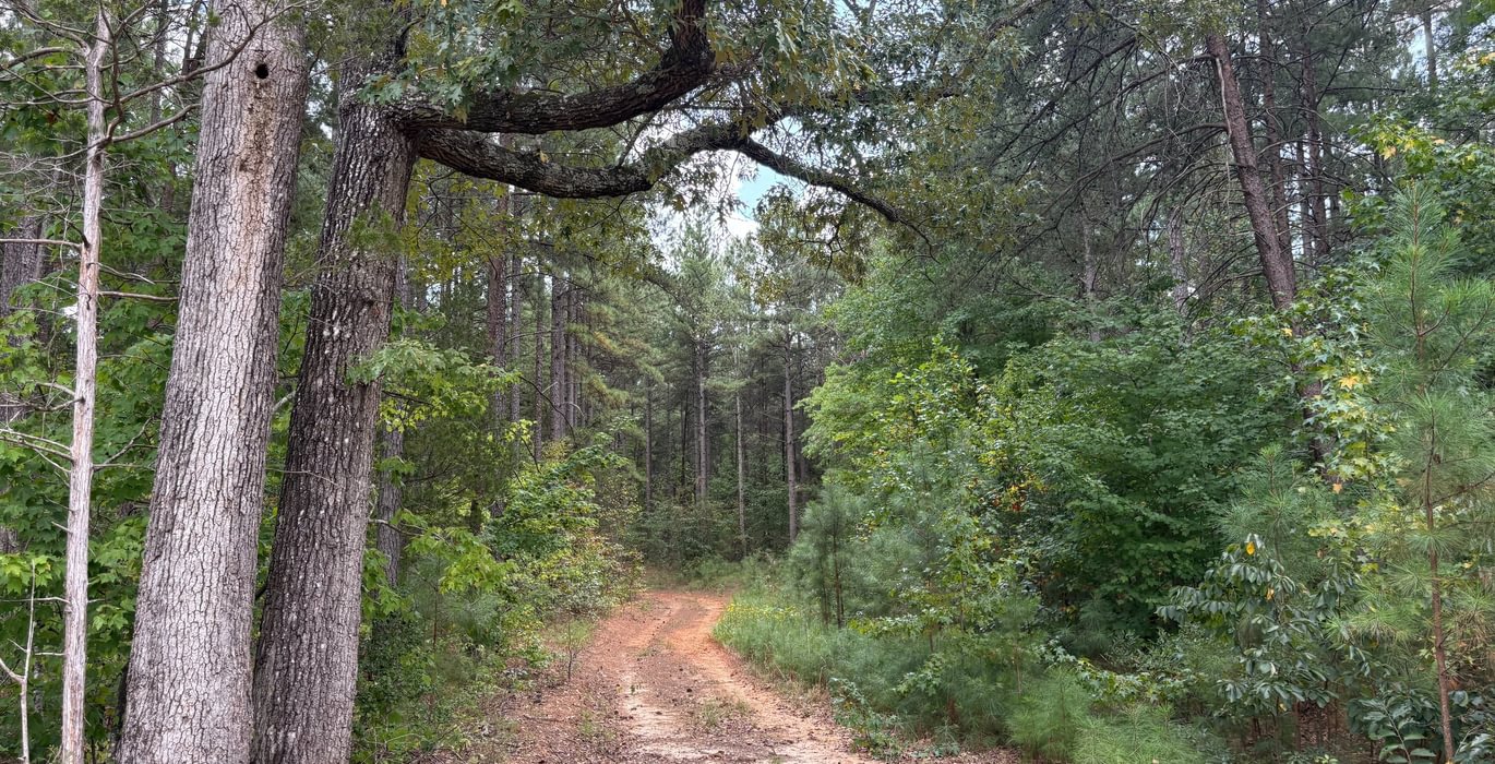 154 IMG 6677