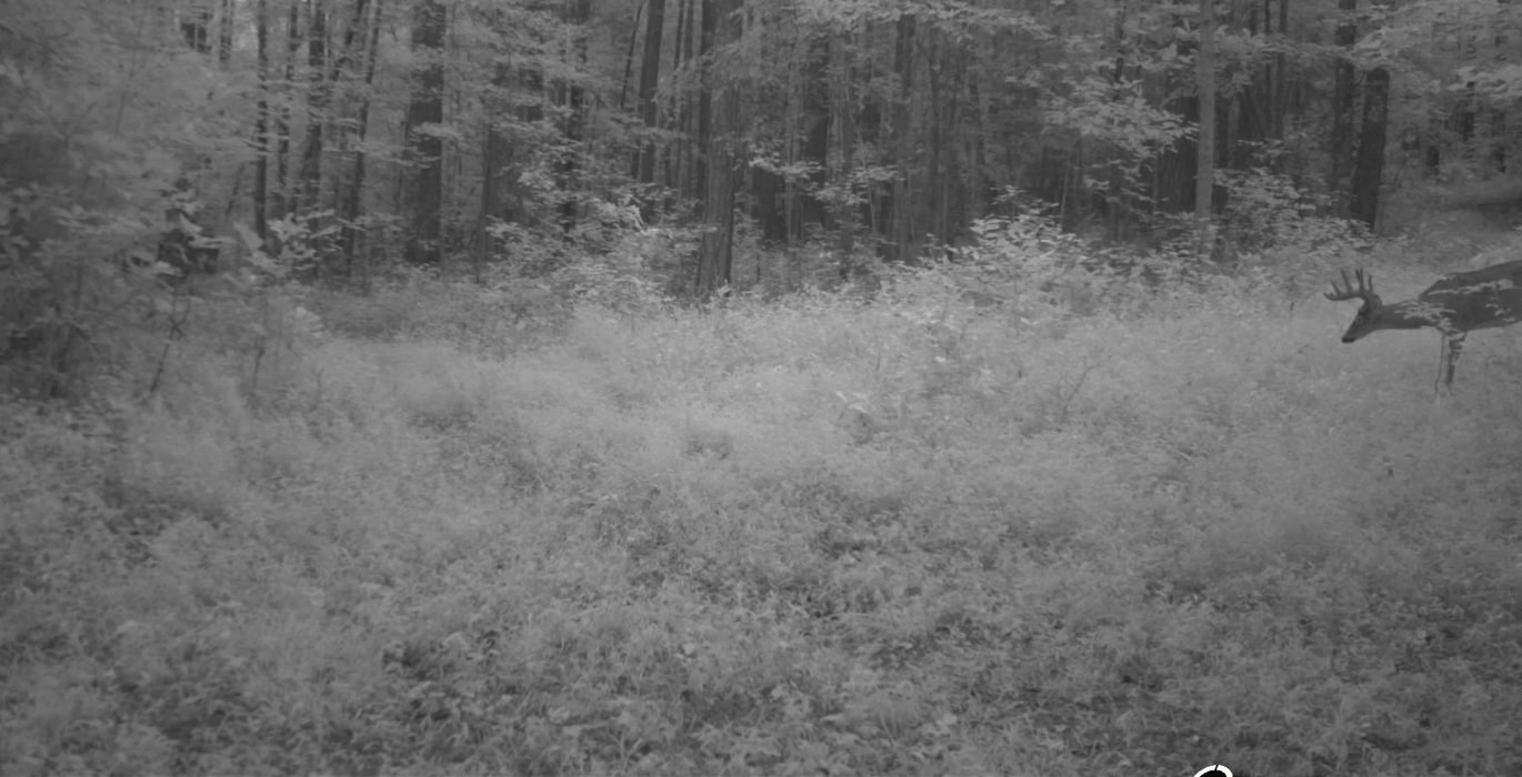 154 Image 15