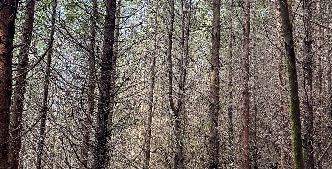 154 Photo Feb 26 2026 2 26 09 PM