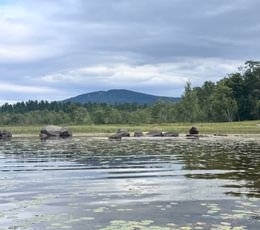 154 shorefront from kayak 1