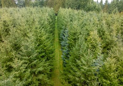 156 DJI 20260222111404 0052 D HLK