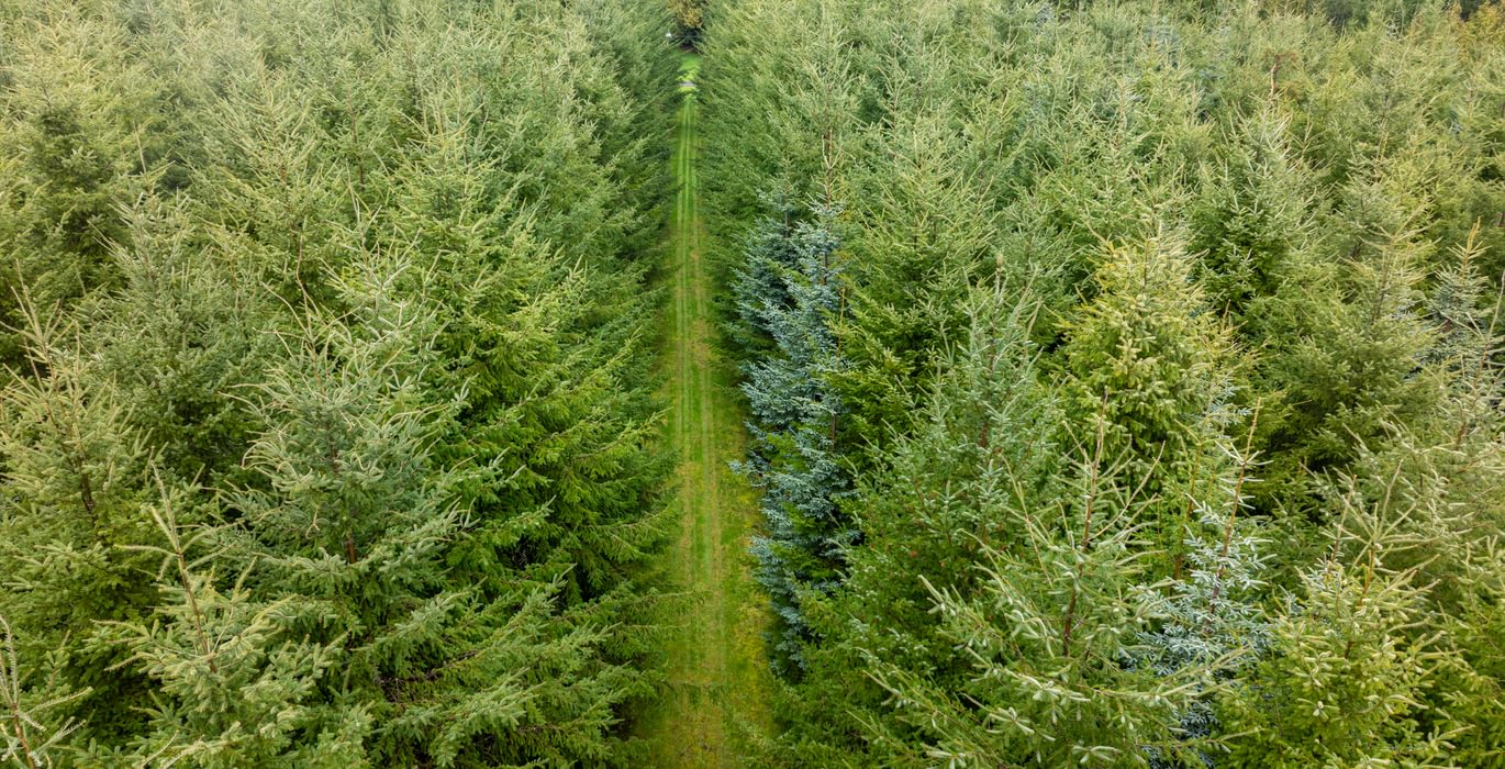 156 DJI 20260222111404 0052 D HLK