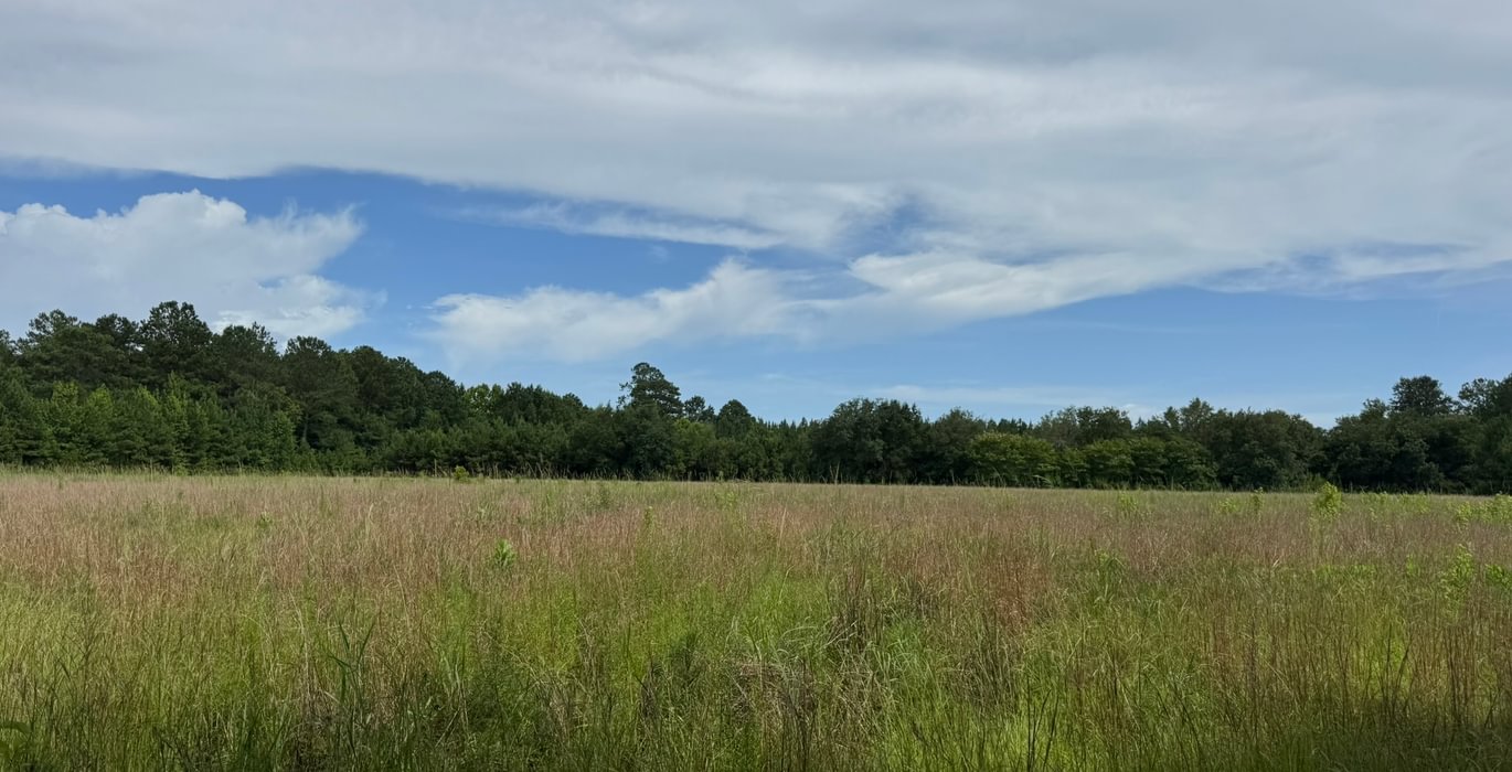 156 IMG 5785
