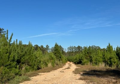 156 aa IMG 2683
