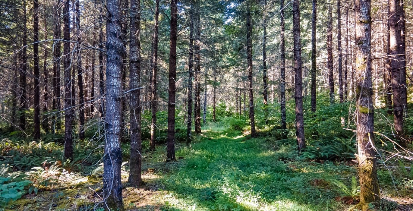 157 DJI 0904 HDR25
