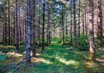 157 DJI 0904 HDR25