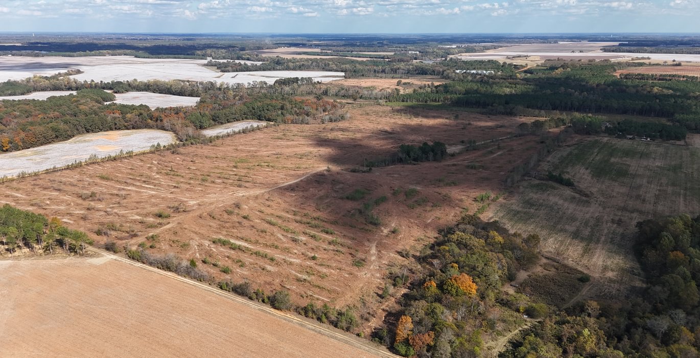 157 dji fly 20251107 132748 0052 1762640666294 photo