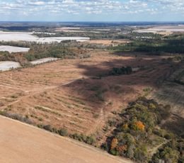 157 dji fly 20251107 132748 0052 1762640666294 photo