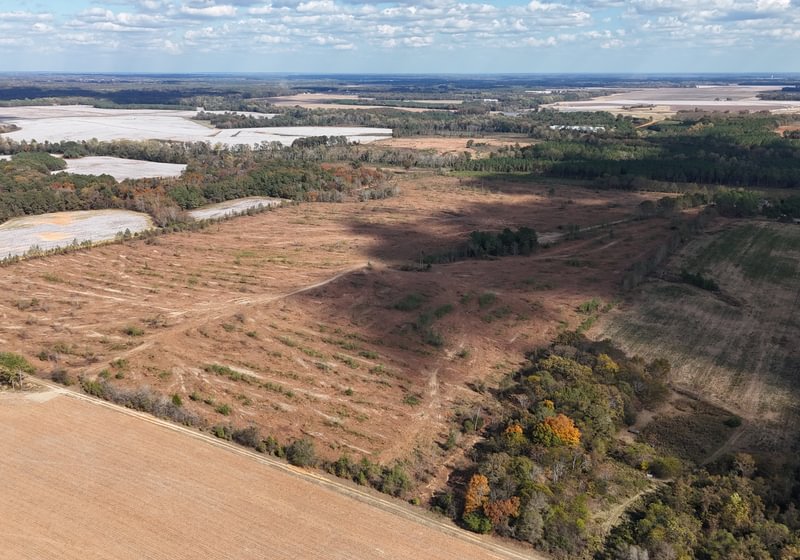 Photo 5 of Dooly County - Edwards Rd Farms, 101 acres, Dooly County, Georgia