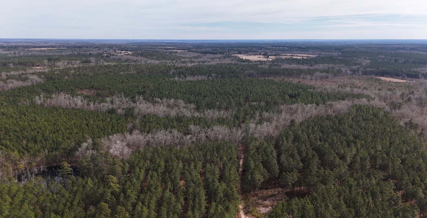 158 DJI 20260129140238 0145 D