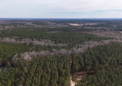 158 DJI 20260129140238 0145 D