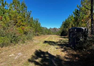 158 Food Plot