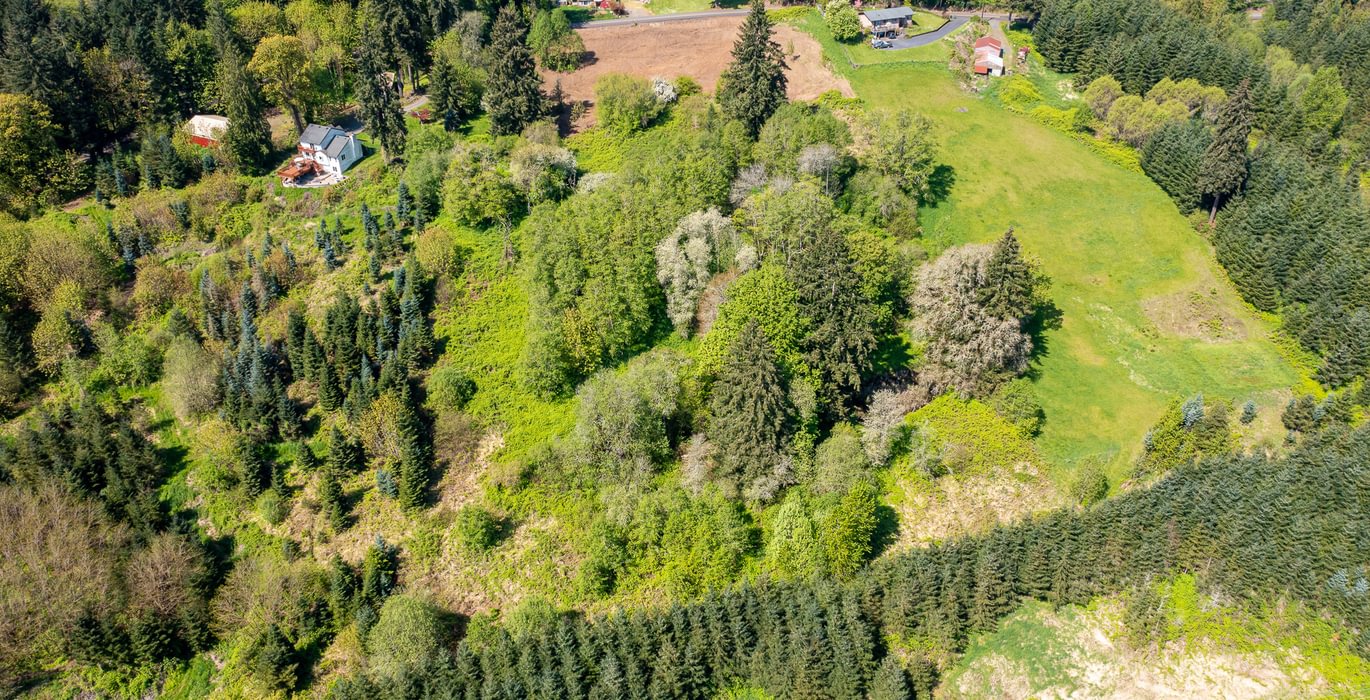 159 DJI 0036