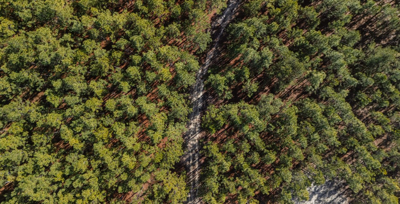 159 DJI 20250120121932 0025 D Enhanced NR 1