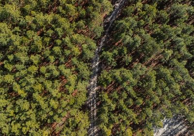 159 DJI 20250120121932 0025 D Enhanced NR 1