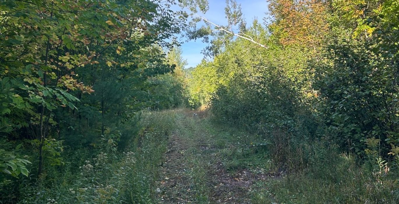 159 IMG 3246