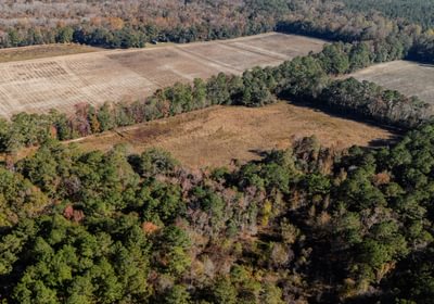 160 DJI 20251106140839 0459 D 1 3