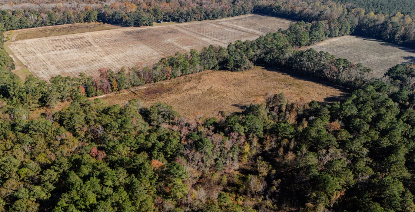 160 DJI 20251106140839 0459 D 1 3