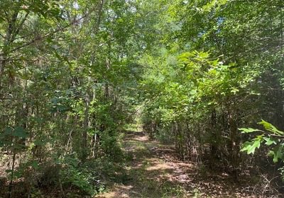160 gum springs 27