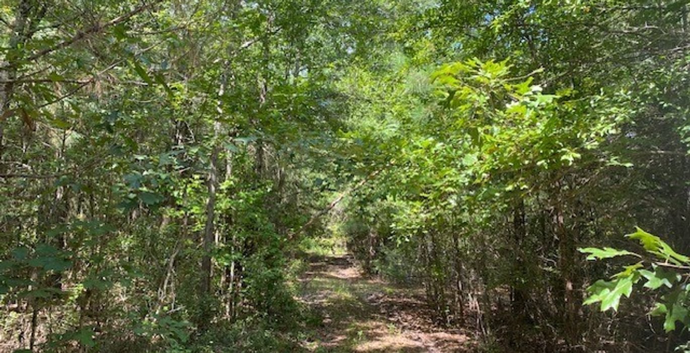160 gum springs 27
