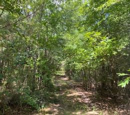 160 gum springs 27
