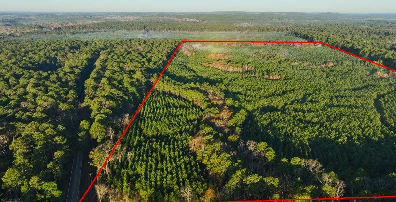 161 DJI 20250201075001 0051 V