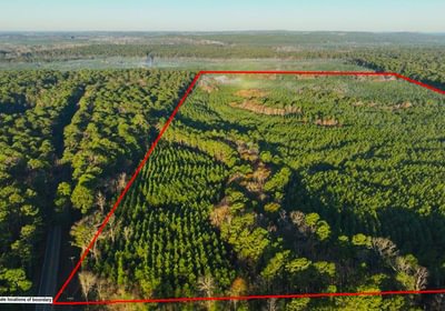 161 DJI 20250201075001 0051 V