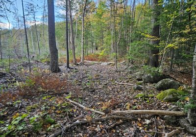161 North boundary and trail