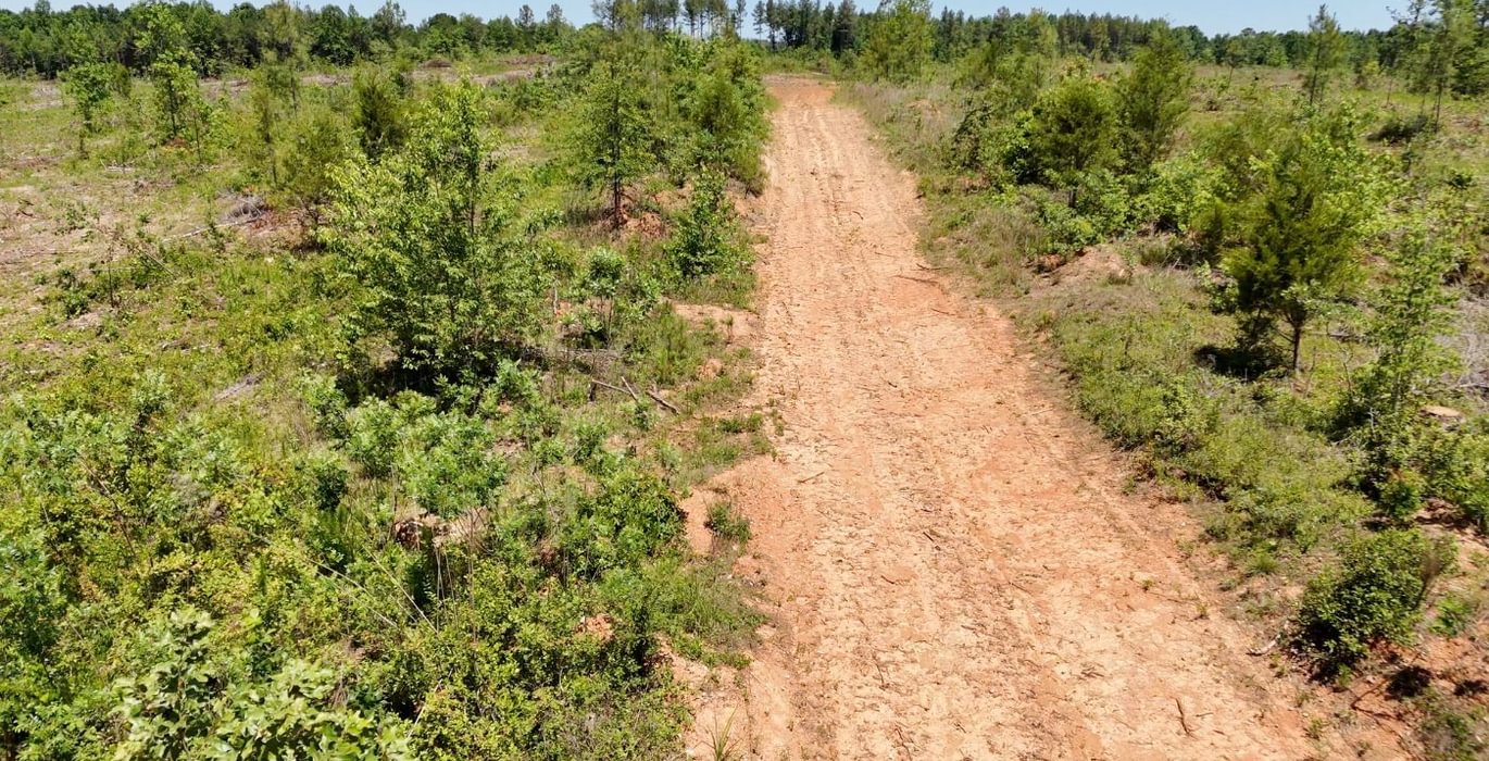 162 AFM Big Mountain Creek Photo 24
