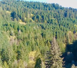 162 IMG20260408121710165