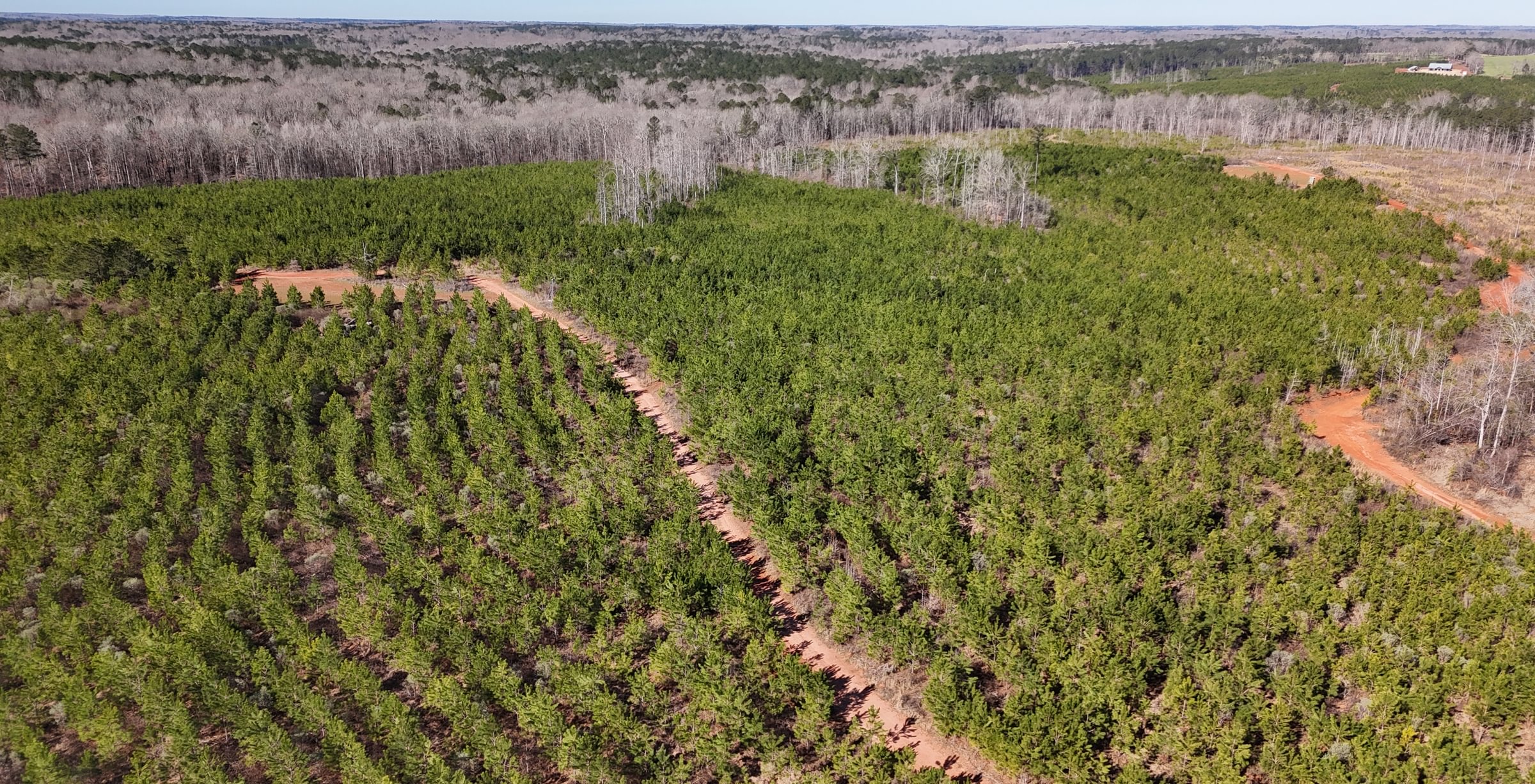 Photo 14 of Wolf Creek - Sportsman Tract, 182 acres, Jasper County, Georgia