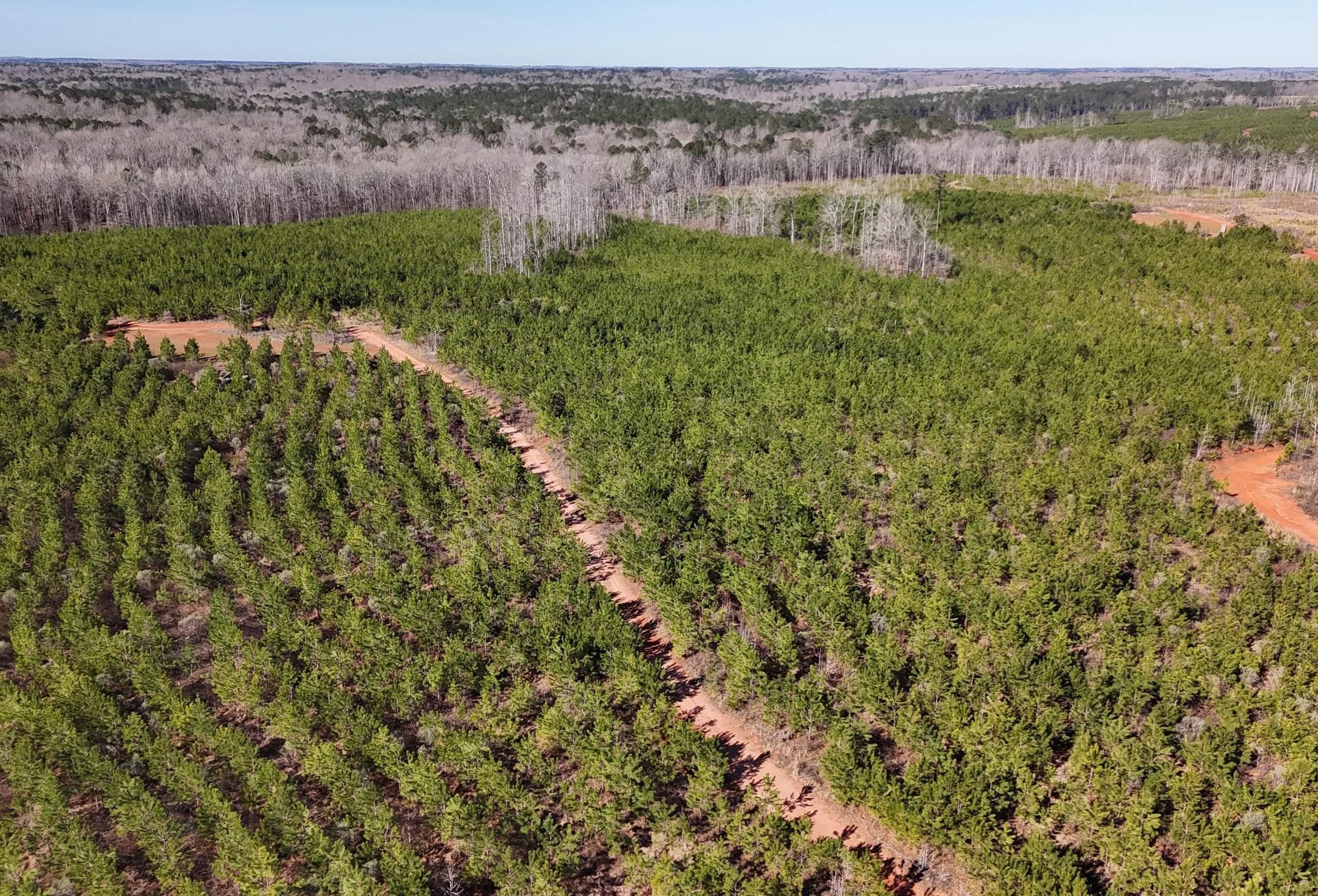 Photo 14 of Wolf Creek - Sportsman Tract, 182 acres, Jasper County, Georgia