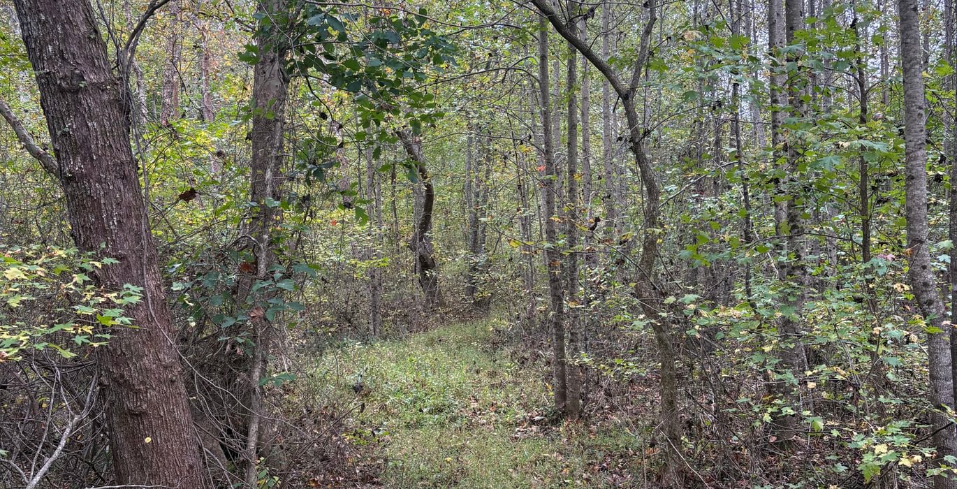 163 IMG 2985