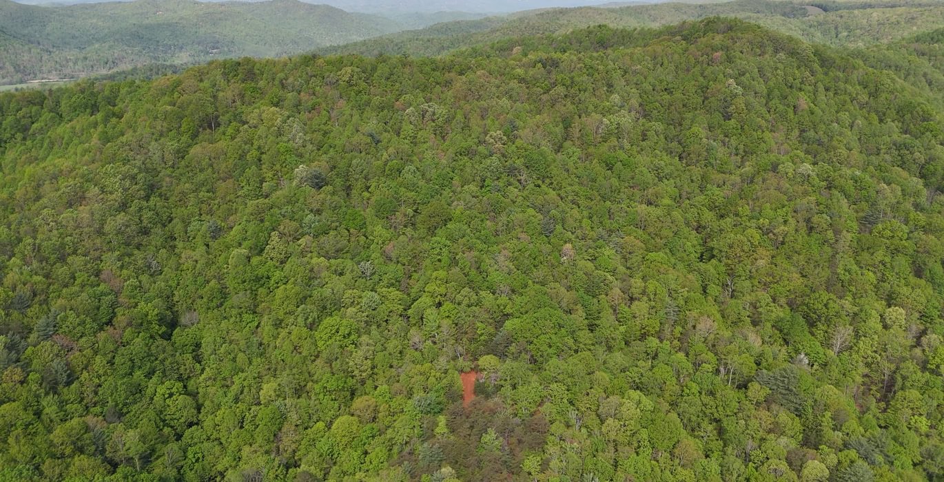 167 AFM Johnson Mountain Photo 13
