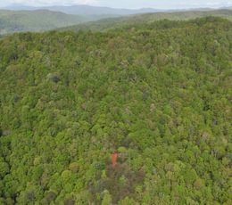 167 AFM Johnson Mountain Photo 13